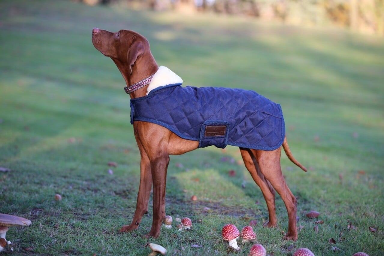 Kentucky Dogwear Kentucky Dogwear Hondenjas Original Navy