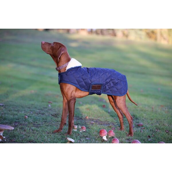 Kentucky Dogwear Kentucky Dogwear Hondenjas Original Navy
