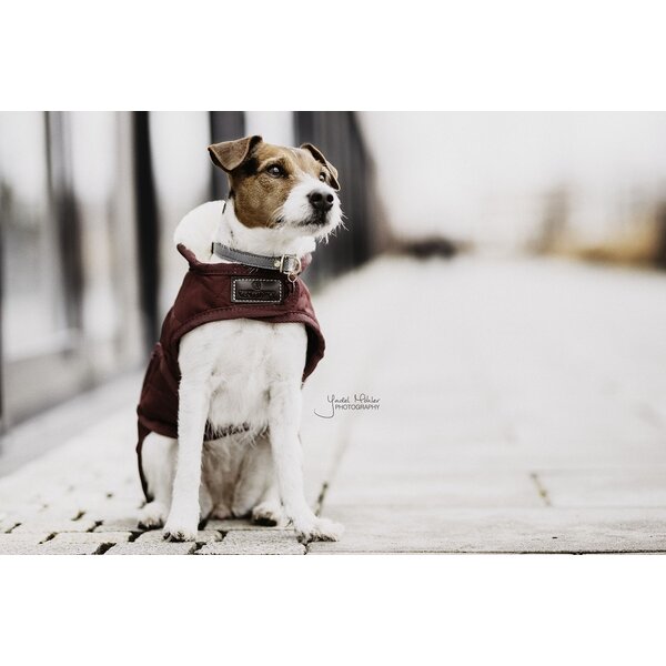 Kentucky Dogwear Kentucky Dogwear Hondenjas Original Bordeaux Kentucky Dogwear Kentucky Dogwear Hondenjas Original Bordeaux