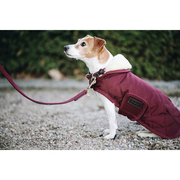 Kentucky Dogwear Kentucky Dogwear Hondenjas Original Bordeaux Kentucky Dogwear Kentucky Dogwear Hondenjas Original Bordeaux