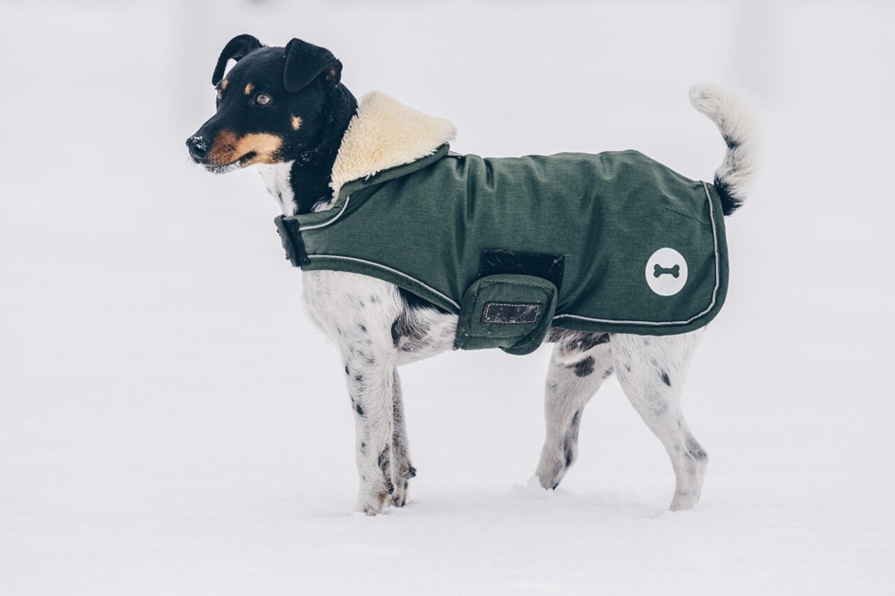 Kentucky Dogwear Kentucky Dogwear Hondenjas Waterdicht Olijf Groen Kentucky Dogwear Kentucky Dogwear Hondenjas Waterdicht Olijf Groen
