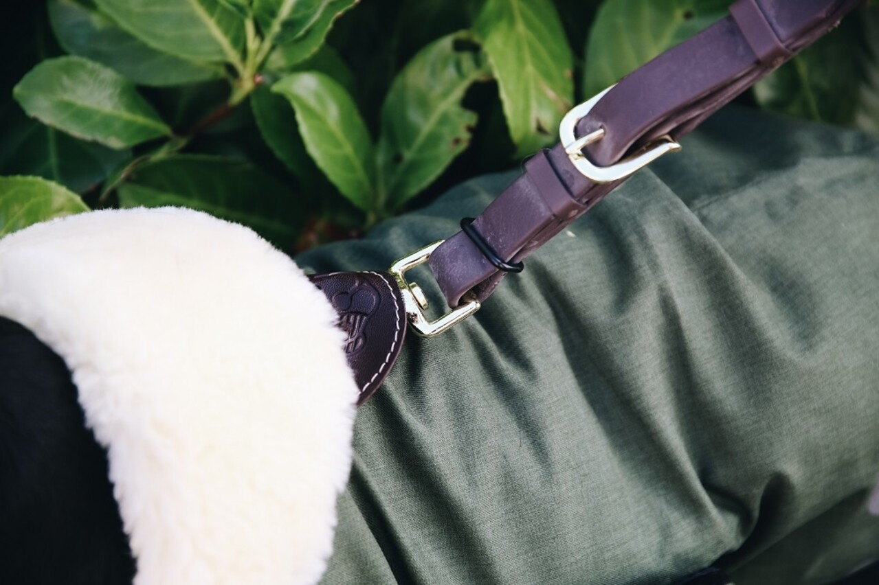 Kentucky Dogwear Kentucky Dogwear Hondenjas Waterdicht Olijf Groen Kentucky Dogwear Kentucky Dogwear Hondenjas Waterdicht Olijf Groen