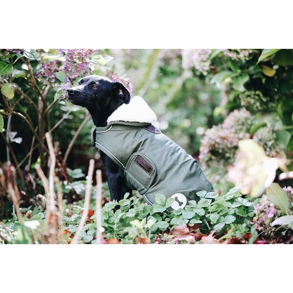 Kentucky Dogwear Kentucky Dogwear Hondenjas Waterdicht Olijf Groen Kentucky Dogwear Kentucky Dogwear Hondenjas Waterdicht Olijf Groen