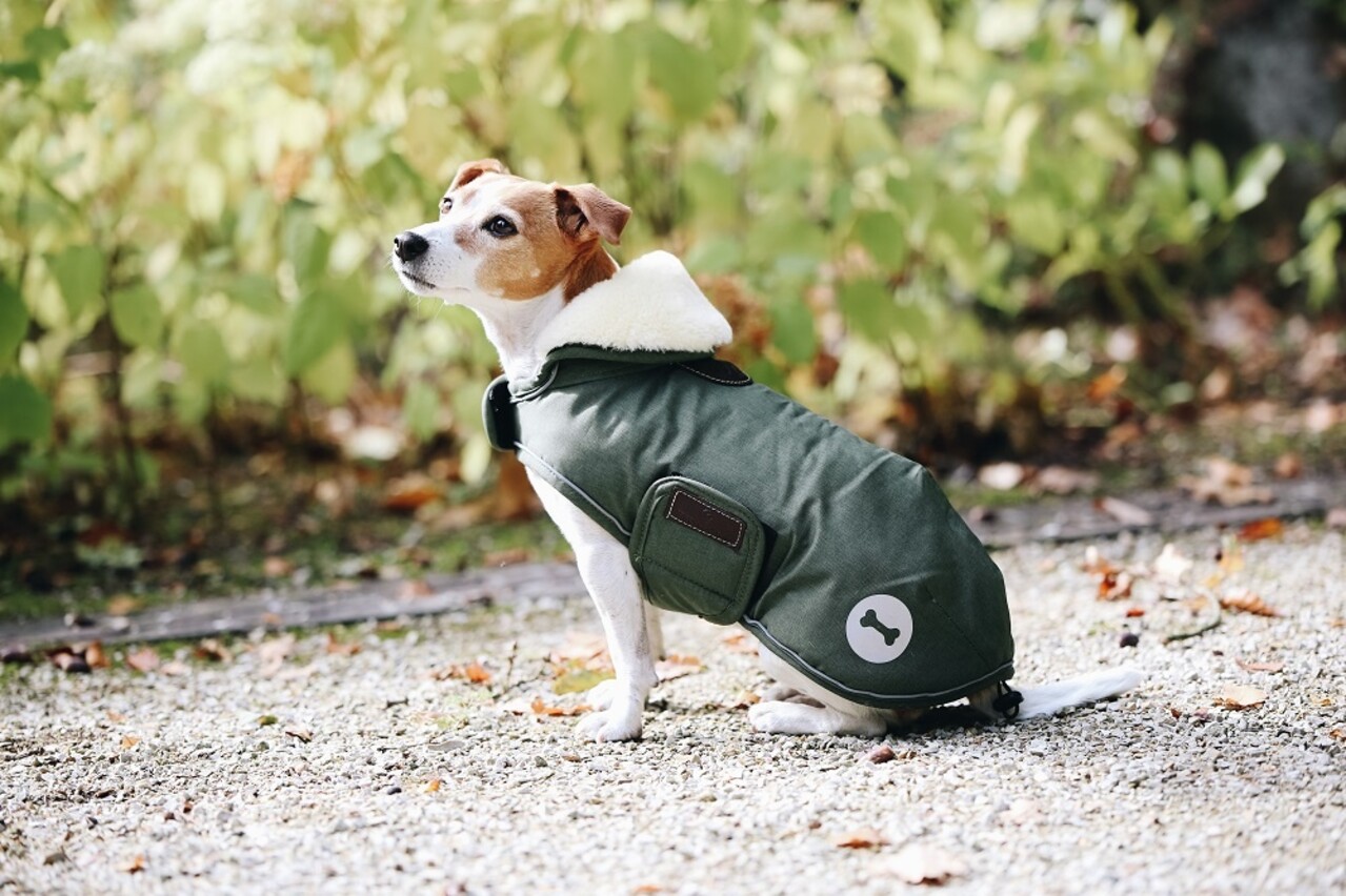 Kentucky Dogwear Kentucky Dogwear Hondenjas Waterdicht Olijf Groen Kentucky Dogwear Kentucky Dogwear Hondenjas Waterdicht Olijf Groen