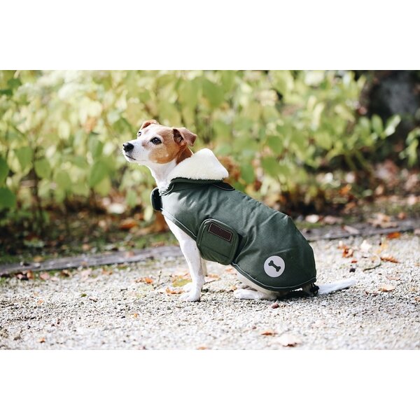 Kentucky Dogwear Kentucky Dogwear Hondenjas Waterdicht Olijf Groen Kentucky Dogwear Kentucky Dogwear Hondenjas Waterdicht Olijf Groen