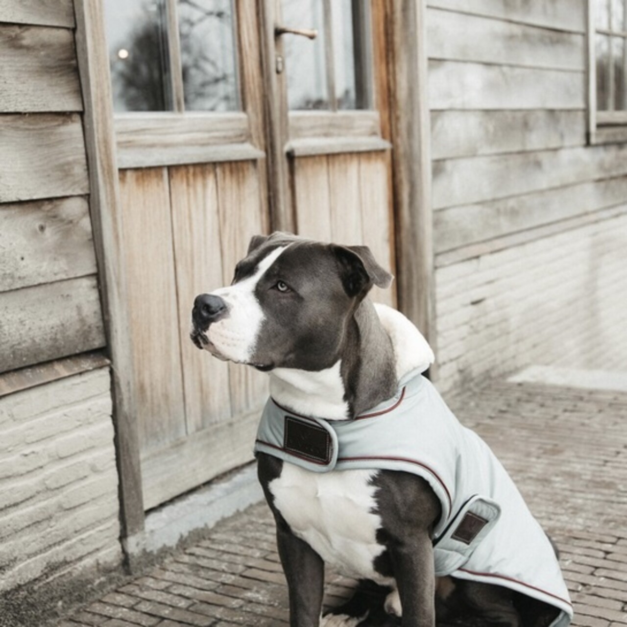 Kentucky Dogwear Kentucky Dogwear Hondenjas Waterdicht Dusty Blue