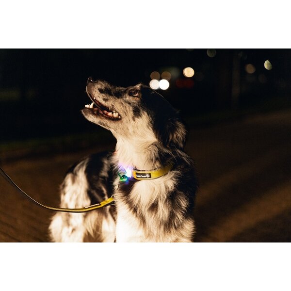 Beeztees Beeztees Lichtgevende Premium Looplijn Parinca Geel Beeztees Beeztees Lichtgevende Premium Looplijn Parinca Geel
