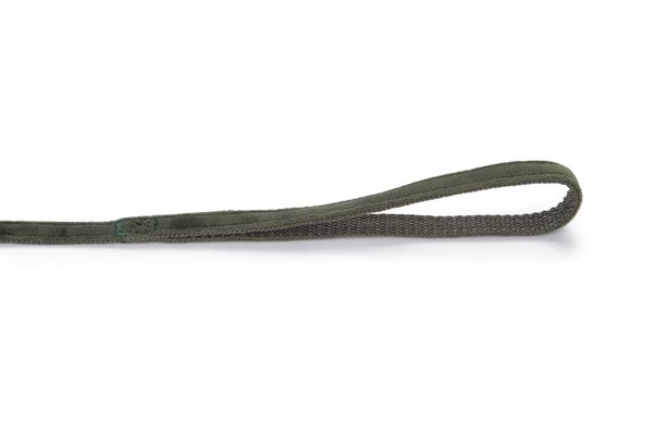 Designed by Lotte Designed by Lotte Hondenleiband Velura Groen