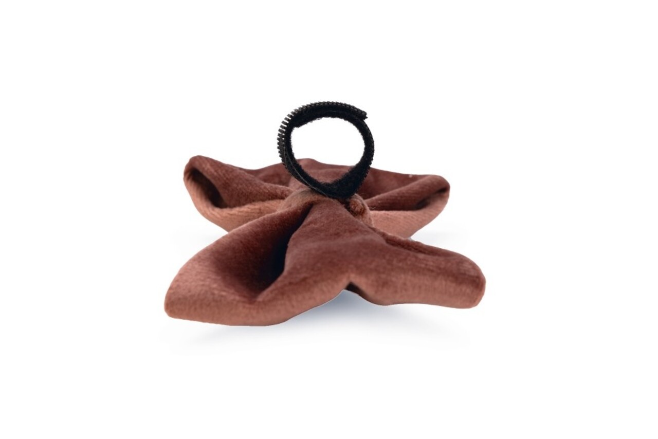 Designed by Lotte Designed by Lotte Velvet Hondenstrik Zaza Roze