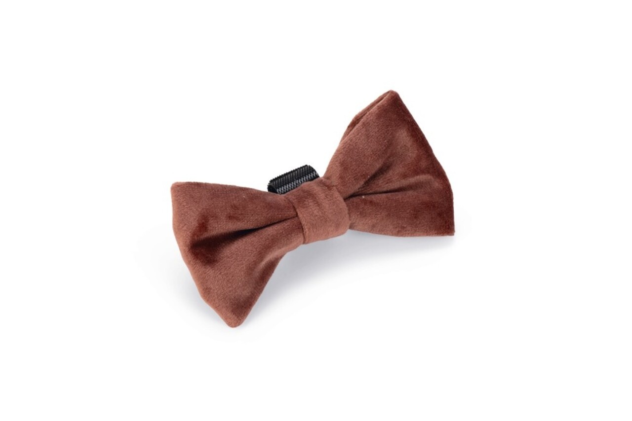 Designed by Lotte Designed by Lotte Velvet Hondenstrik Zaza Roze