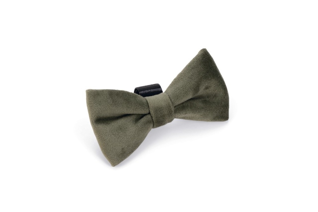 Designed by Lotte Designed by Lotte Velvet Hondenstrik Zaza Groen Designed by Lotte Designed by Lotte Velvet Hondenstrik Zaza Groen