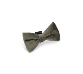 Designed by Lotte Designed by Lotte Velvet Hondenstrik Zaza Groen Designed by Lotte Designed by Lotte Velvet Hondenstrik Zaza Groen
