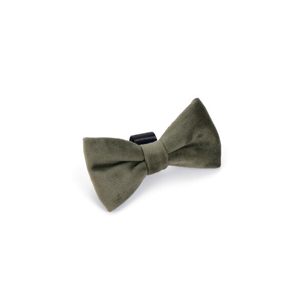 Designed by Lotte Designed by Lotte Velvet Hondenstrik Zaza Groen Designed by Lotte Designed by Lotte Velvet Hondenstrik Zaza Groen