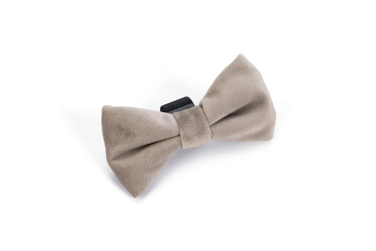 Designed by Lotte Designed by Lotte Velvet Hondenstrik Zaza Grijs