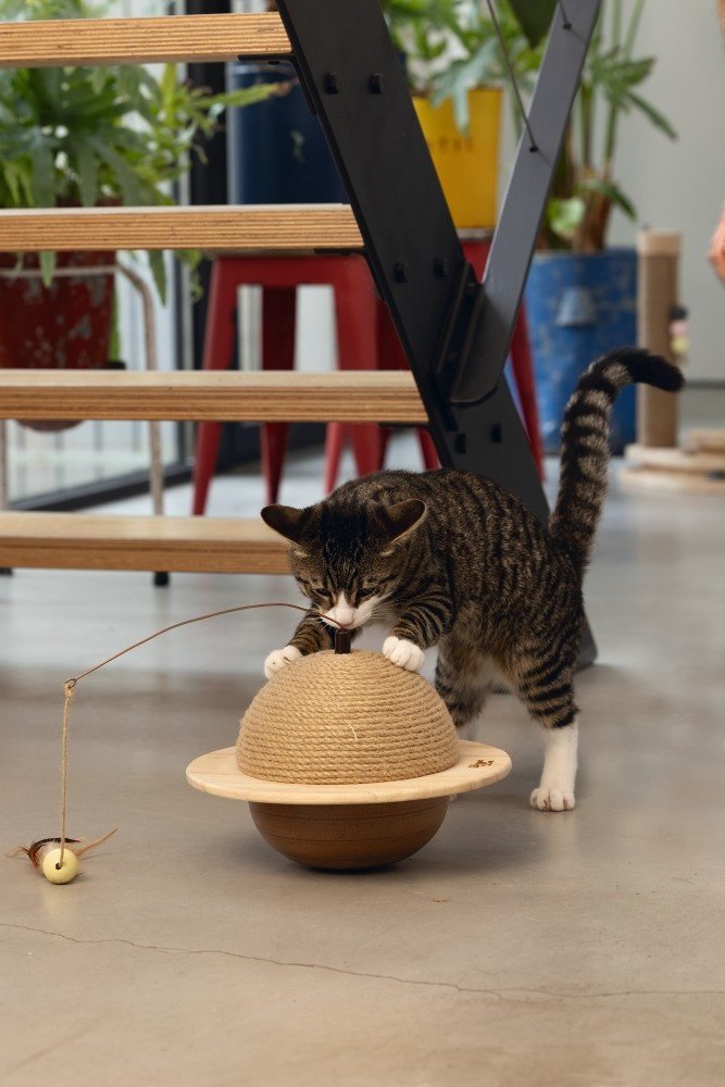 Designed by Lotte Designed by Lotte Hout Krabbol Wiggly