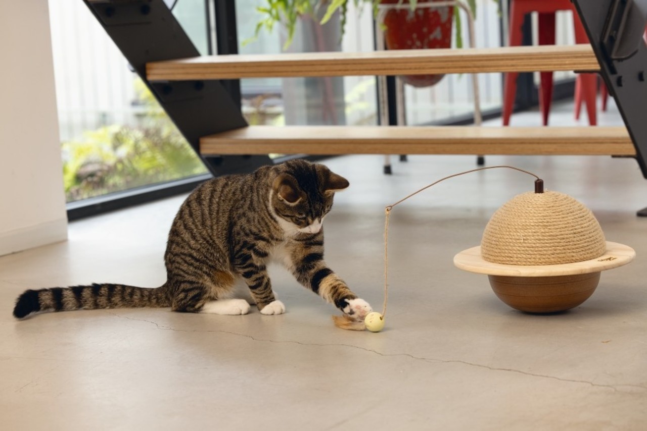 Designed by Lotte Designed by Lotte Hout Krabbol Wiggly