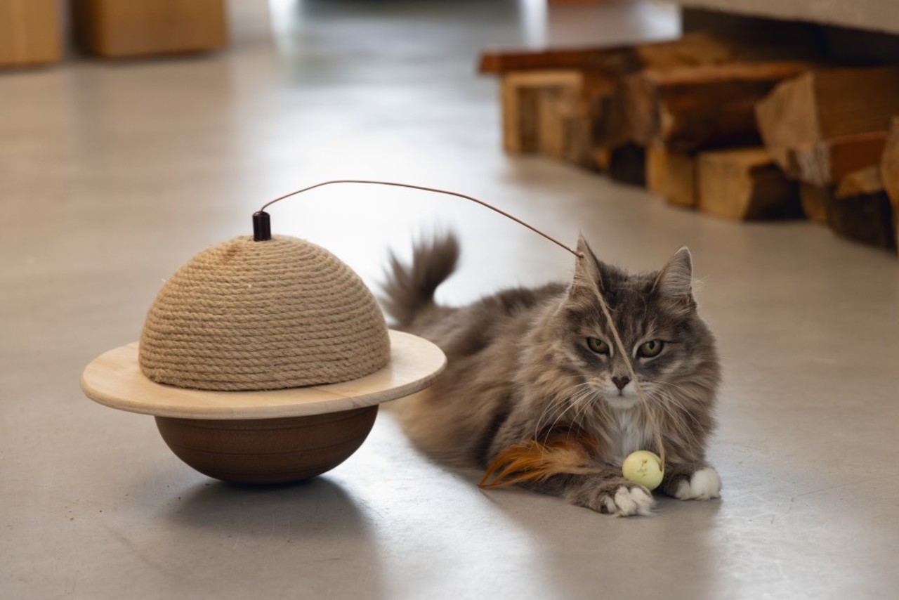 Designed by Lotte Designed by Lotte Hout Krabbol Wiggly