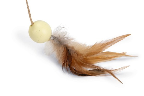 Designed by Lotte Designed by Lotte Hout Krabbol Wiggly