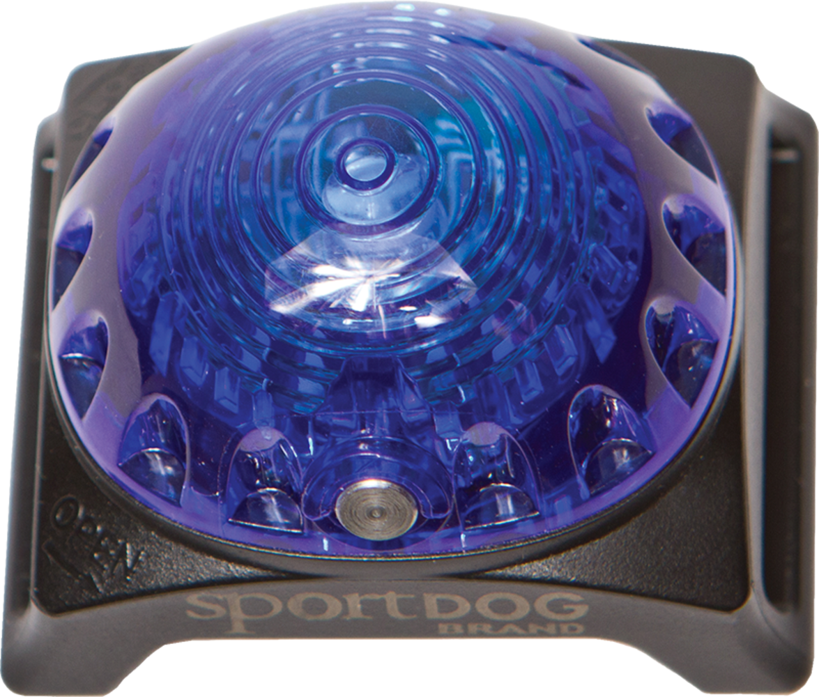 Sportdog Sportdog Locator Beacon Lampje Blauw