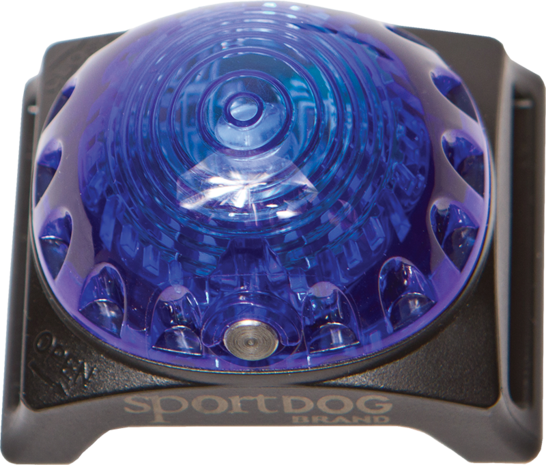 Sportdog Sportdog Locator Beacon Lampje Blauw