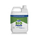 Viano Bio Press
