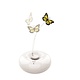 M-Pets Crazy Butterfly Wit