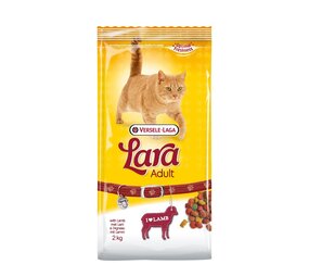 Lara Lara Adult Lam Lara Lara Adult Lam