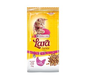 Lara Lara Junior Lara Lara Junior