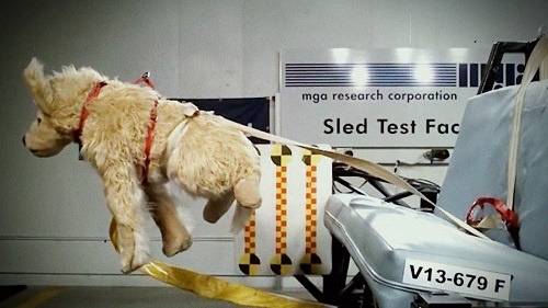 Hond crashtest