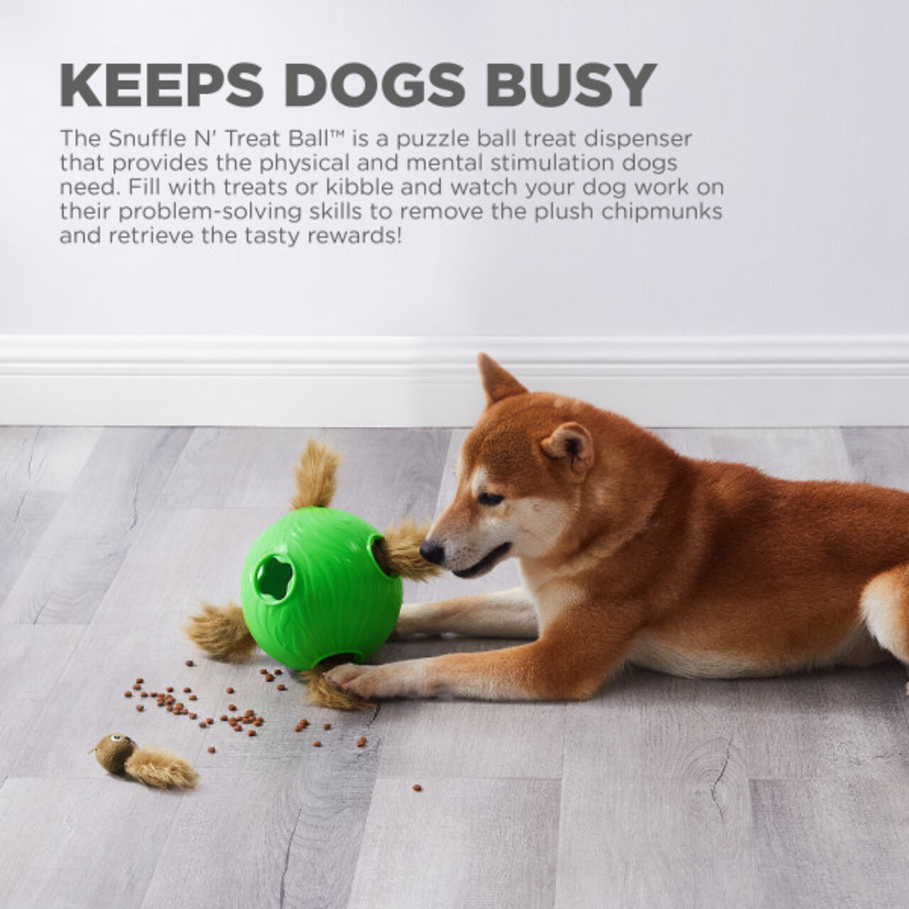 Nina Ottosson Nina Ottosson Dog Snuffle N'Treat Ball