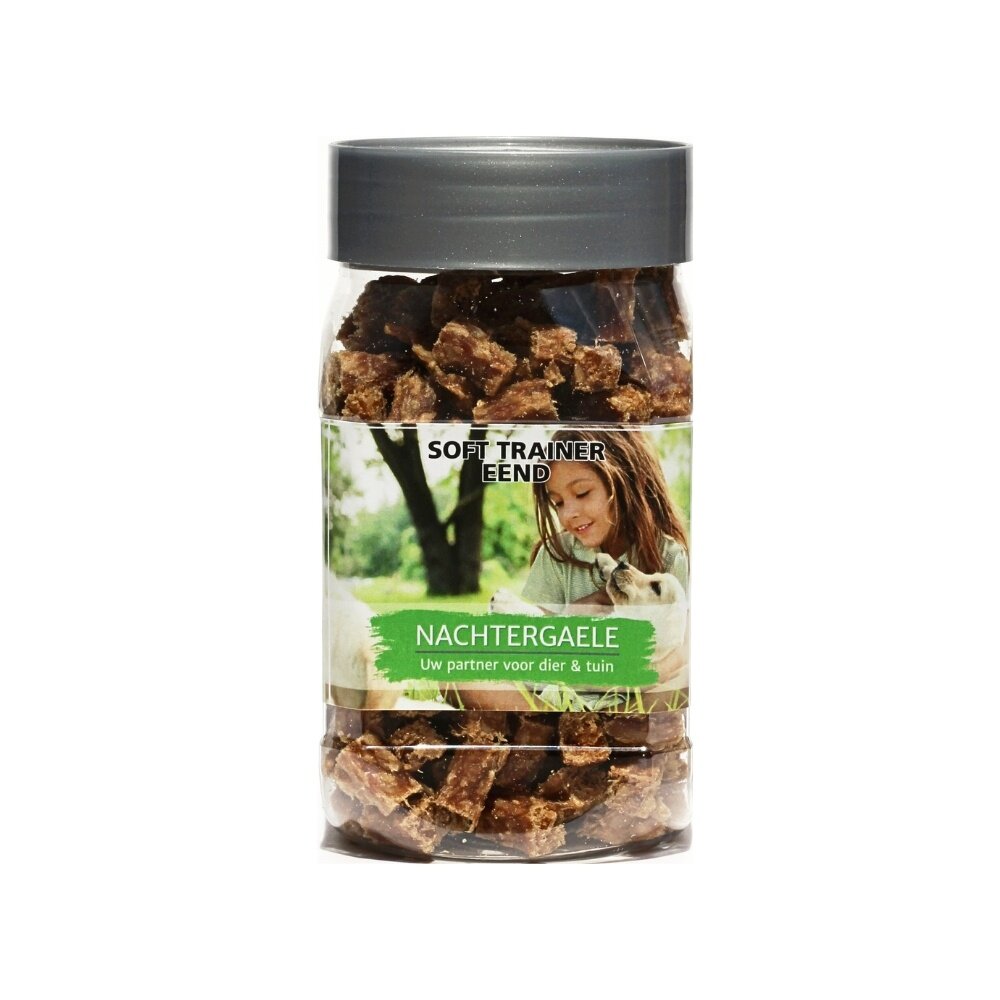 Nachtergaele Nachtergaele Soft Trainer Eend