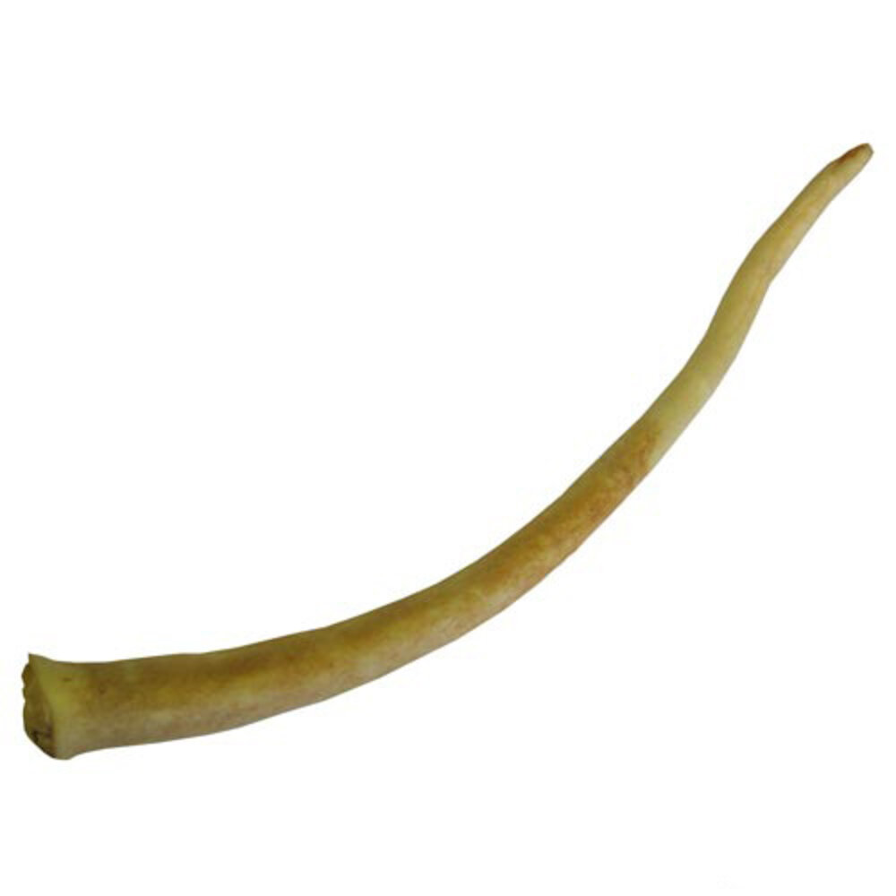 Nachtergaele Nachtergaele Buffelstaart Nachtergaele Nachtergaele Buffelstaart