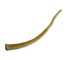 Nachtergaele Nachtergaele Buffelstaart