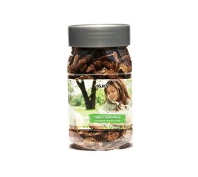 Nachtergaele Nachtergaele Visjes