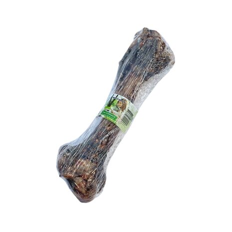 Nachtergaele Nachtergaele Hertenbot Nachtergaele Nachtergaele Hertenbot