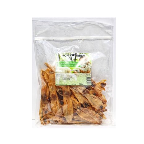 Nachtergaele Nachtergaele Konijnenoren Nachtergaele Nachtergaele Konijnenoren