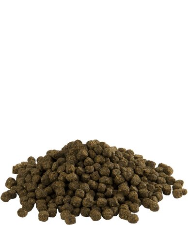 Fishlix Fishlix Koi Medium 4mm Fishlix Fishlix Koi Medium 4mm