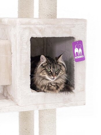 Petrebels Petrebels Kattenklim Cleopatra 134 Crème Petrebels Petrebels Kattenklim Cleopatra 134 Crème
