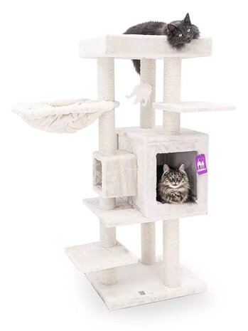 Petrebels Petrebels Kattenklim Cleopatra 134 Crème Petrebels Petrebels Kattenklim Cleopatra 134 Crème