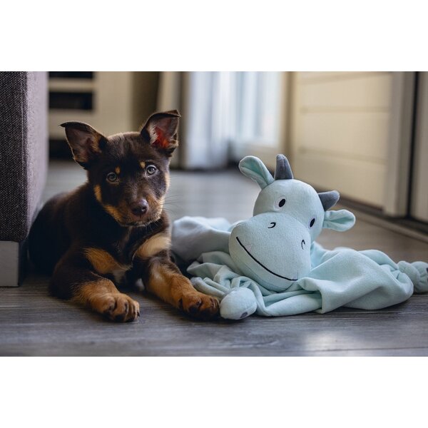 Beeztees Beeztees Puppy Knuffeldoek Draak Groen/Blauw