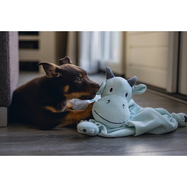 Beeztees Beeztees Puppy Knuffeldoek Draak Groen/Blauw