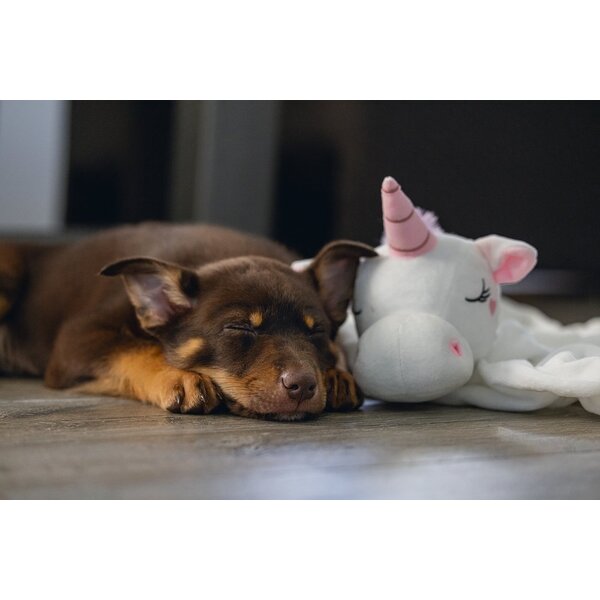 Beeztees Beeztees Puppy Knuffeldoek Unicorn Wit Beeztees Beeztees Puppy Knuffeldoek Unicorn Wit