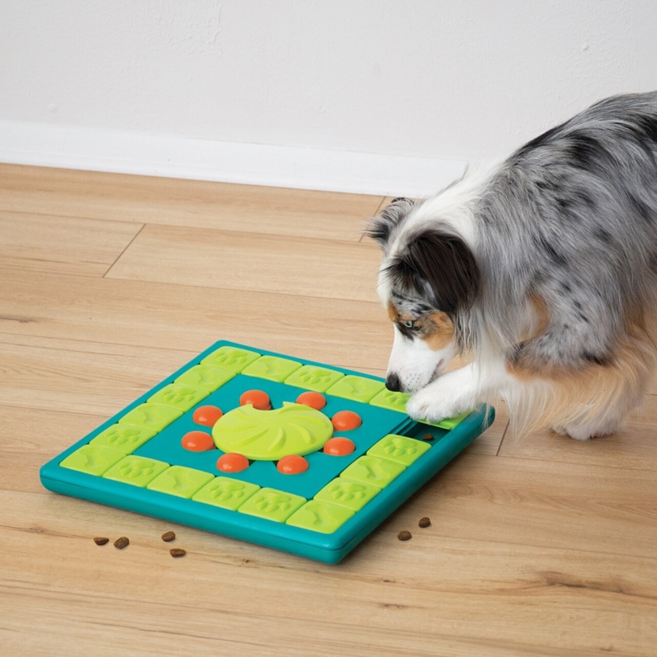 Nina Ottosson Nina Ottosson Hondenspel Multi Puzzle Nina Ottosson Nina Ottosson Hondenspel Multi Puzzle