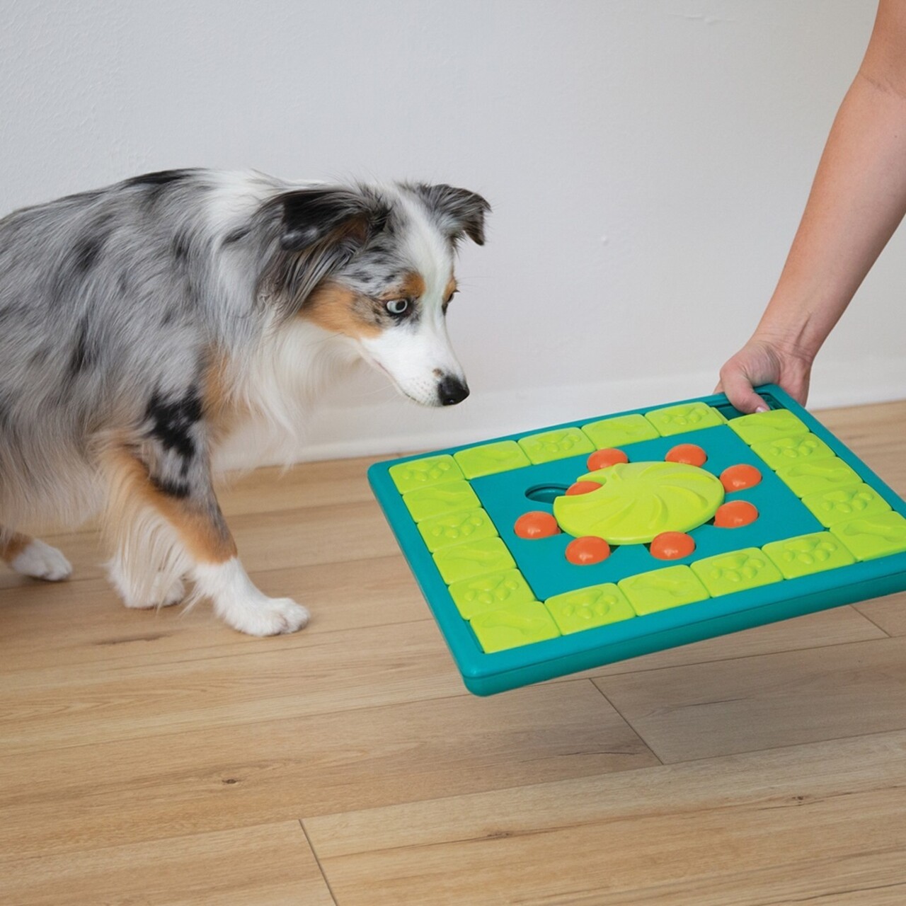 Nina Ottosson Nina Ottosson Hondenspel Multi Puzzle Nina Ottosson Nina Ottosson Hondenspel Multi Puzzle