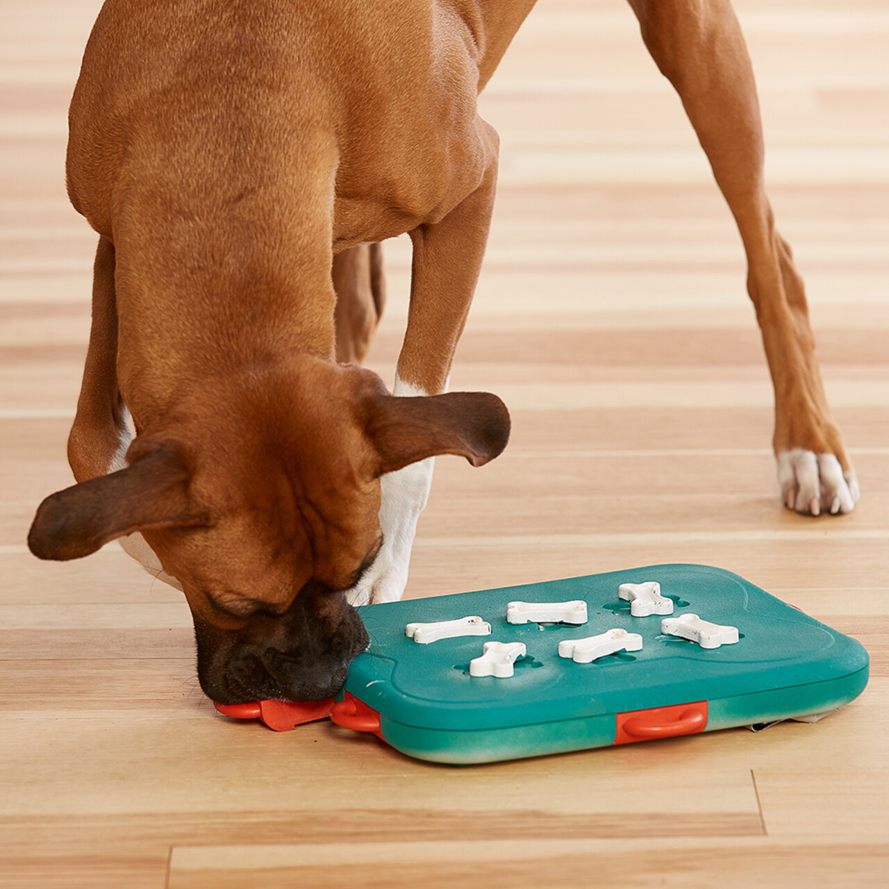 Nina Ottosson Nina Ottosson Hondenspel Dog Casino Nina Ottosson Nina Ottosson Hondenspel Dog Casino
