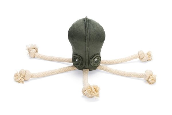 Designed by Lotte Designed by Lotte Velvet Hondenspeelgoed Octo Aisha Groen