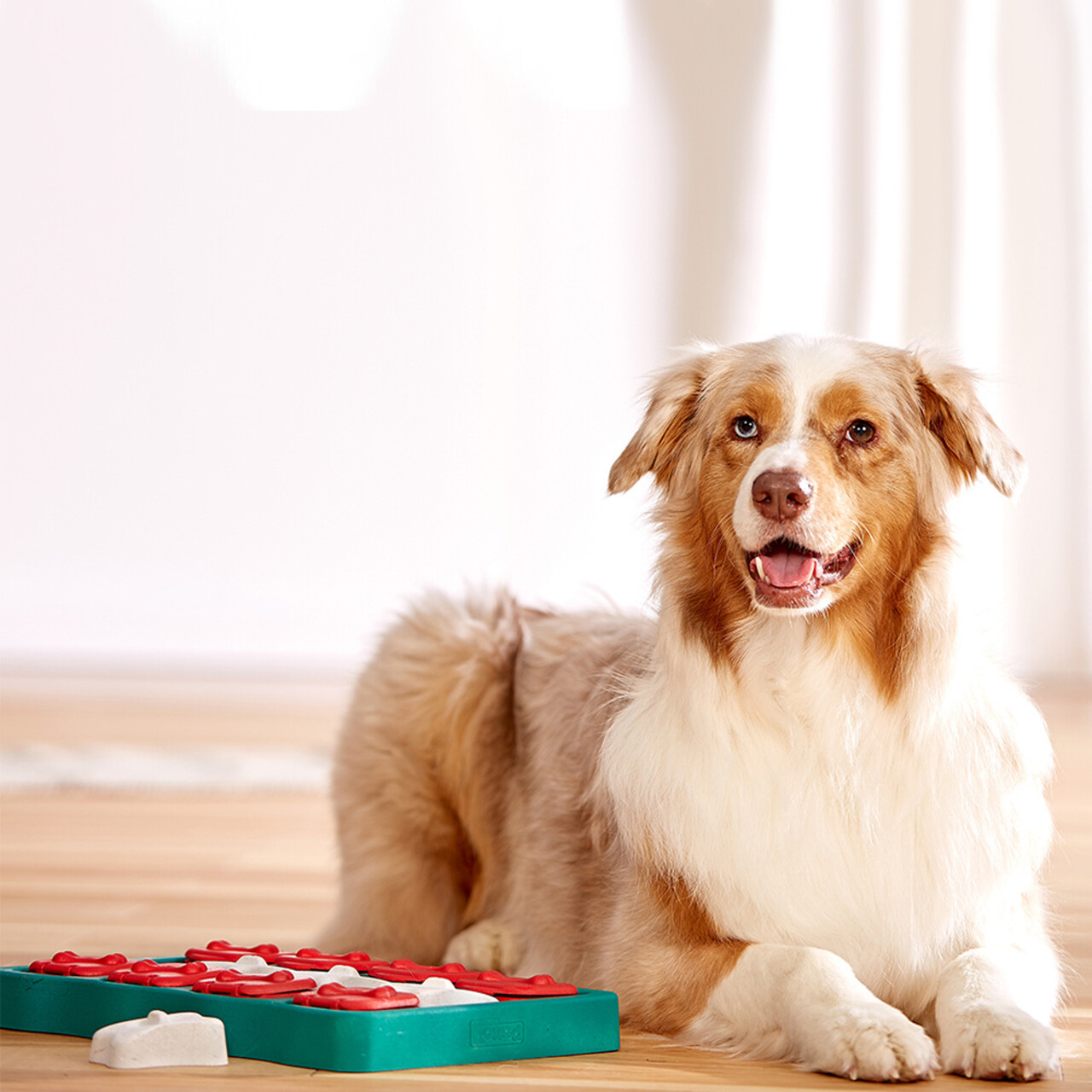 Nina Ottosson Nina Ottosson Hondenspel Dog Brick Nina Ottosson Nina Ottosson Hondenspel Dog Brick