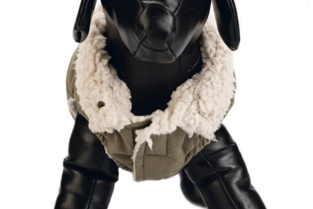 Designed by Lotte Designed by Lotte Hondenjas Philos Groen Designed by Lotte Designed by Lotte Hondenjas Philos Groen