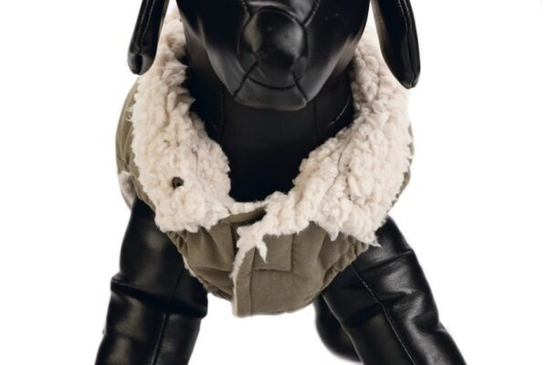 Designed by Lotte Designed by Lotte Hondenjas Philos Groen Designed by Lotte Designed by Lotte Hondenjas Philos Groen