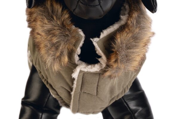 Designed by Lotte Designed by Lotte Hondenjas Philos Groen Designed by Lotte Designed by Lotte Hondenjas Philos Groen